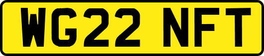 WG22NFT