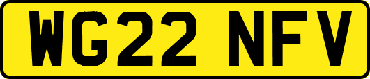 WG22NFV
