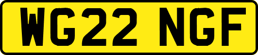 WG22NGF