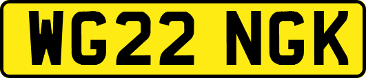 WG22NGK