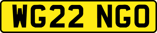 WG22NGO