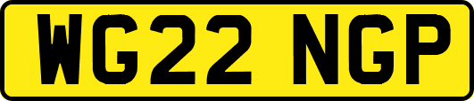 WG22NGP