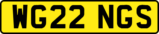WG22NGS