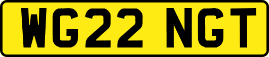 WG22NGT