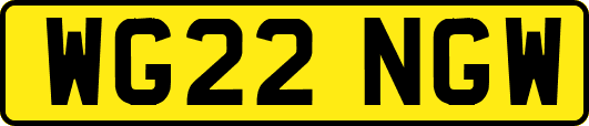 WG22NGW
