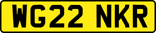 WG22NKR