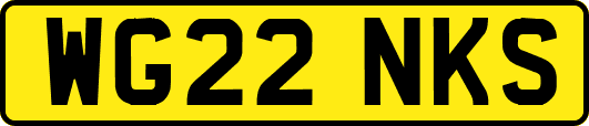 WG22NKS