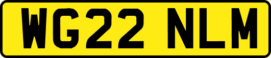 WG22NLM