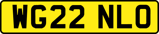 WG22NLO