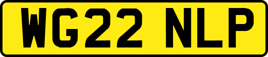 WG22NLP