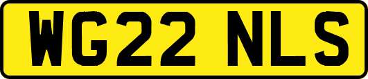 WG22NLS