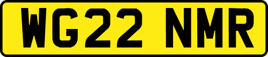 WG22NMR
