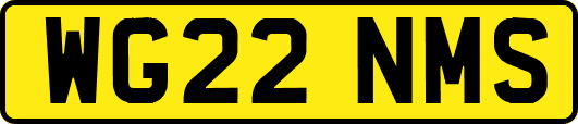 WG22NMS
