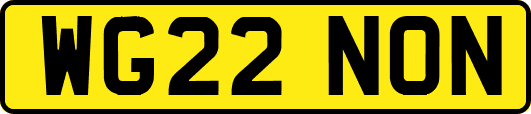 WG22NON