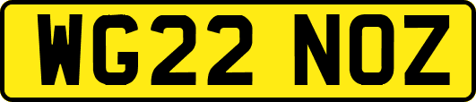 WG22NOZ