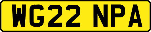 WG22NPA