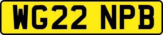 WG22NPB