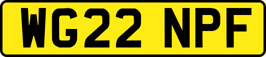 WG22NPF
