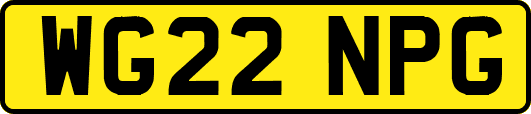 WG22NPG