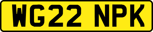 WG22NPK