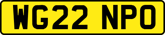 WG22NPO