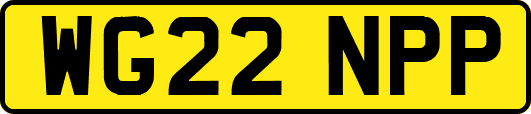 WG22NPP