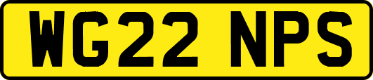 WG22NPS