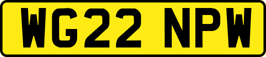 WG22NPW