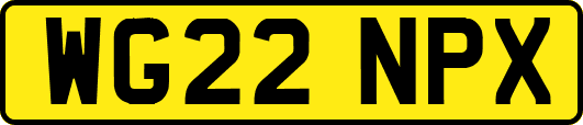 WG22NPX