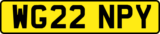 WG22NPY