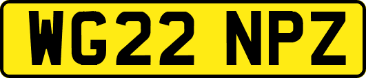 WG22NPZ