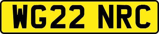 WG22NRC