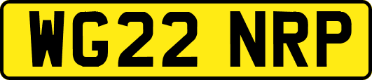 WG22NRP