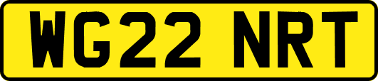 WG22NRT