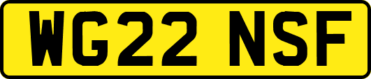 WG22NSF
