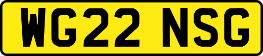 WG22NSG