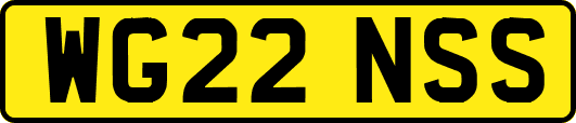WG22NSS