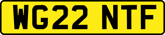 WG22NTF