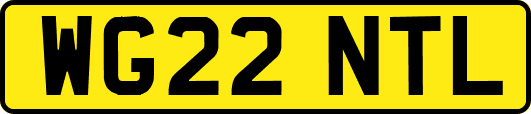 WG22NTL