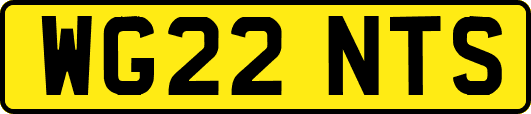 WG22NTS
