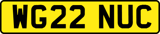 WG22NUC
