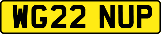 WG22NUP