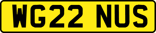 WG22NUS