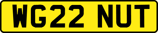 WG22NUT