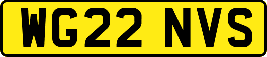 WG22NVS