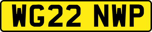 WG22NWP