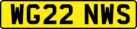 WG22NWS