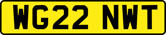 WG22NWT