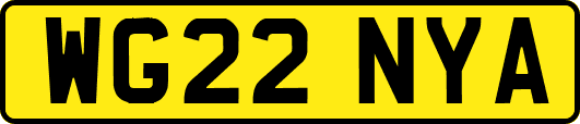 WG22NYA