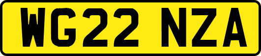 WG22NZA